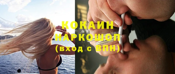 сатива Гусев