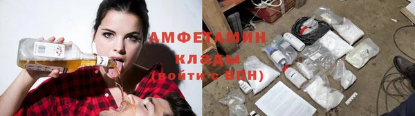 сатива Гусев