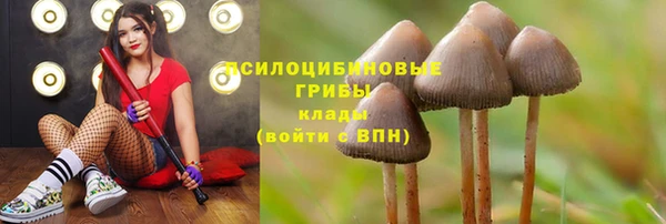 спиды Гусиноозёрск