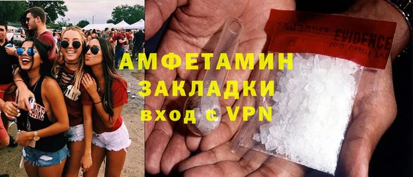сатива Гусев