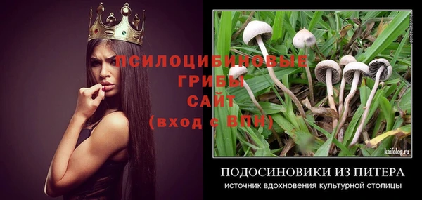 спиды Гусиноозёрск