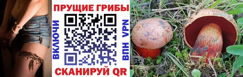 Купить где  Абакан  Псилоцибиновые грибы мицелий 