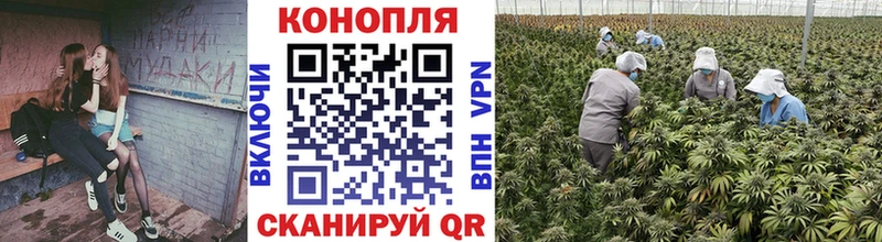 Шишки марихуана SATIVA & INDICA Абакан